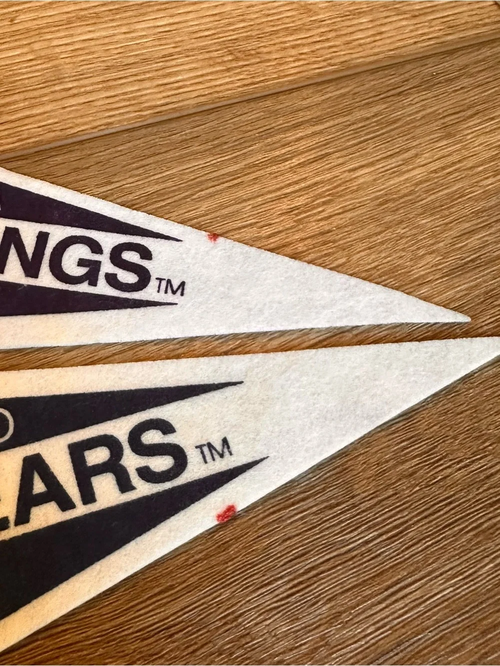 Vintage NFL Team Pennant Set.  28- 9” pennants